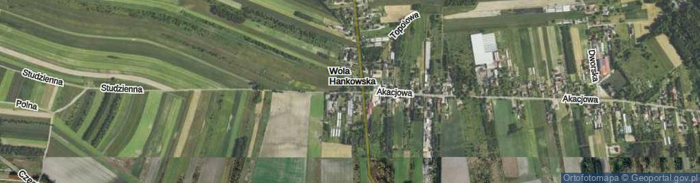 Zdjęcie satelitarne Wola Hankowska ul.